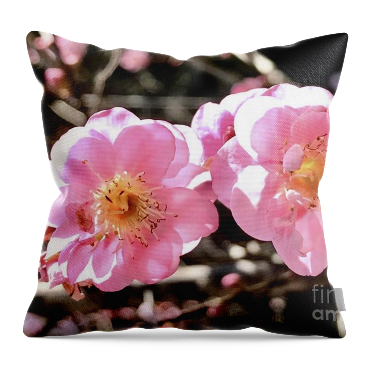 Plum Blossom Throw Pillow featuring the photograph Mutually Enlivening by Carmen Lam