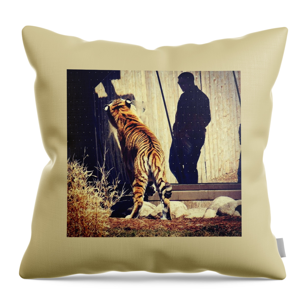 Tiger Throw Pillow featuring the photograph My Shadow by Judy Stepanian