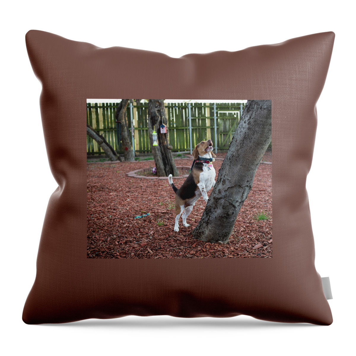 Dog Throw Pillow featuring the photograph My Yard by C Winslow Shafer