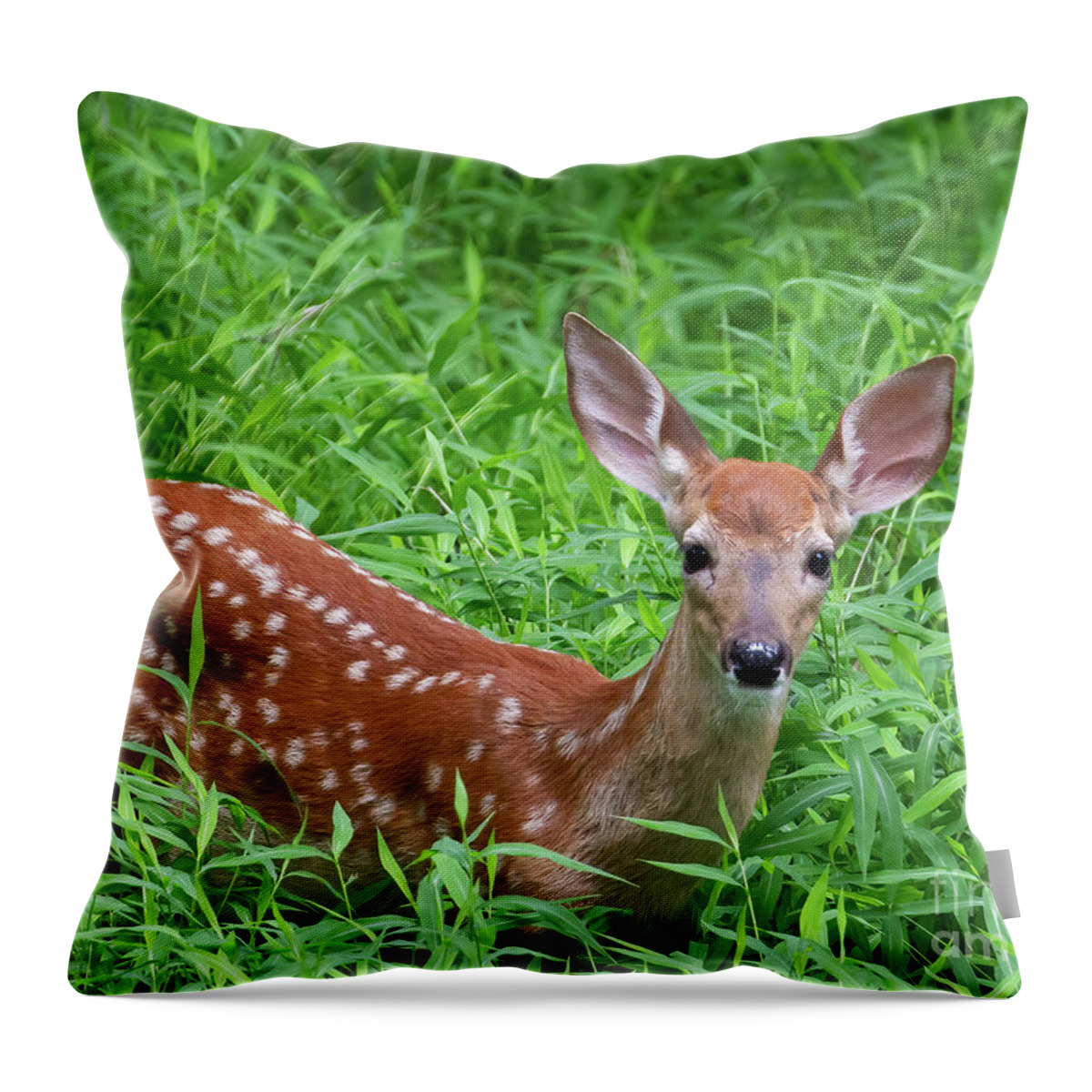 Deer Throw Pillow featuring the photograph Namaste Little Deer by Chris Scroggins