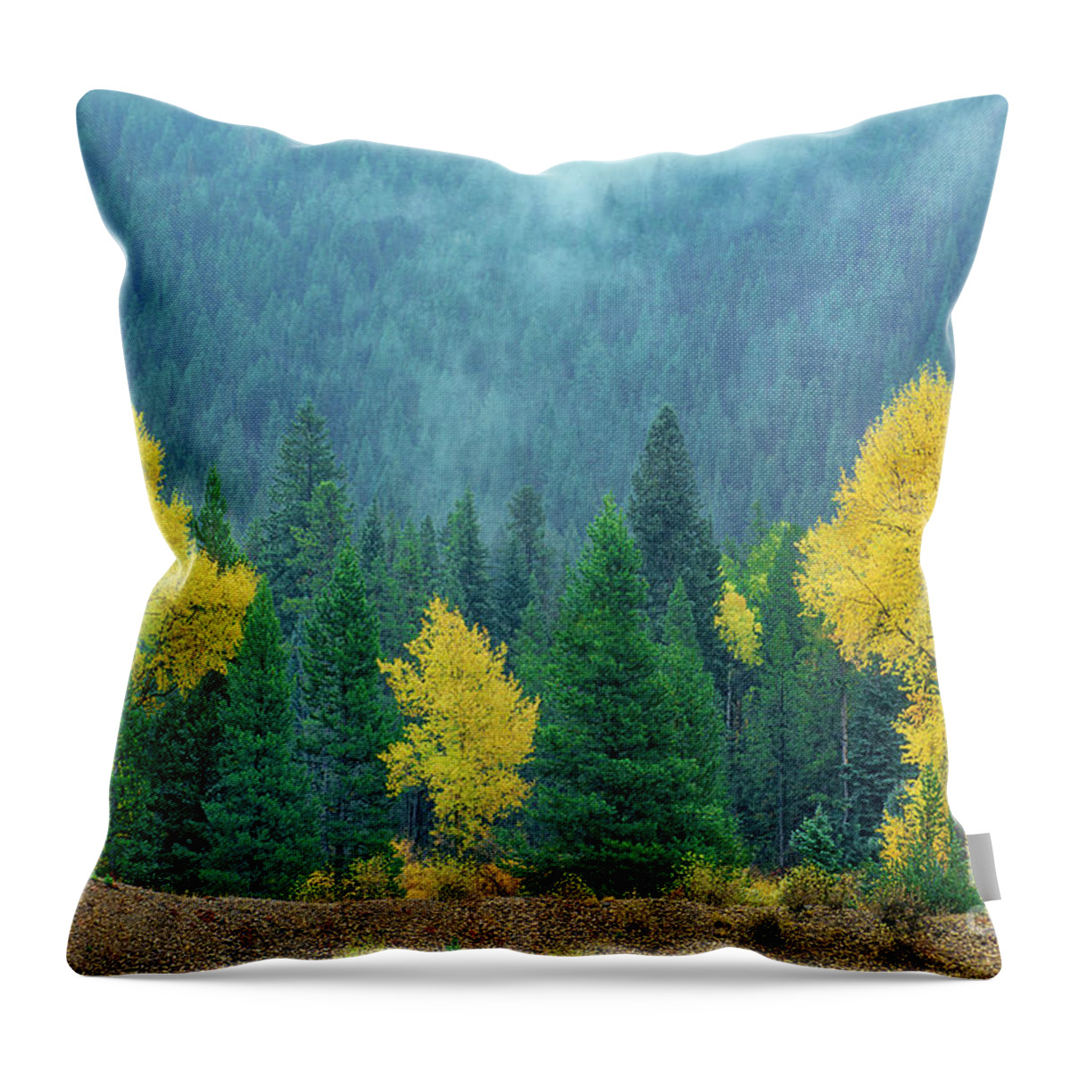 Dave Welling Throw Pillow featuring the photograph Narrowleaf Cottonwoods And Blur Spruce Trees In Grand Tetons by Dave Welling