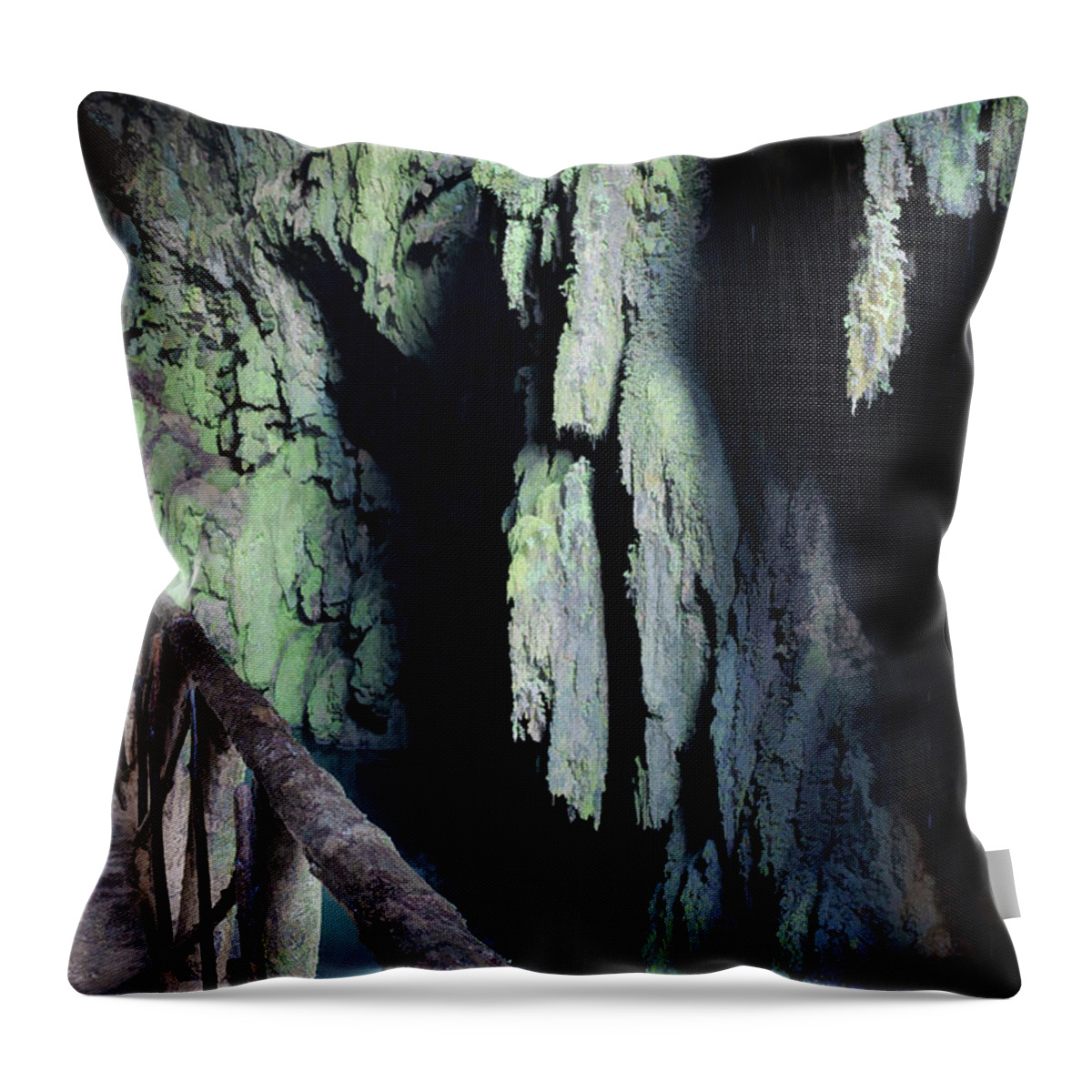 Canvas Throw Pillow featuring the photograph Natural park of the monastery of Piedra - Des-saturated Edition by Jordi Carrio Jamila