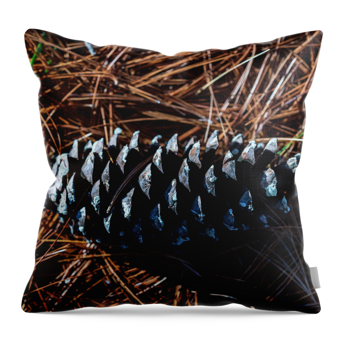 Nature Throw Pillow featuring the photograph Nature Photography - Pine Cone 2 by Amelia Pearn