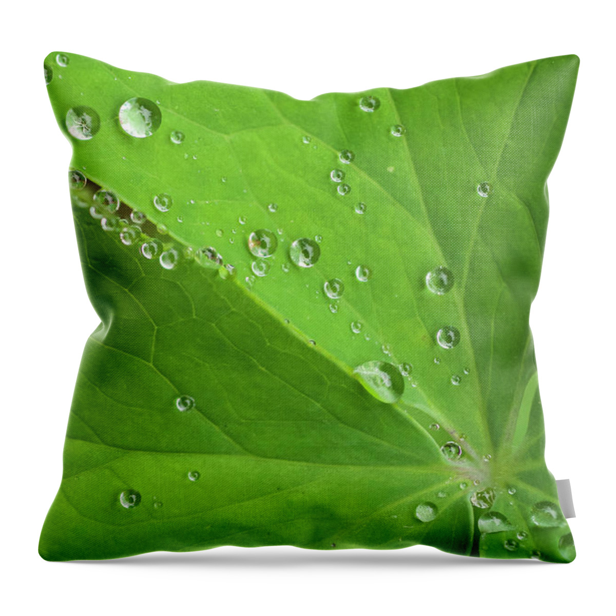 Flora Throw Pillow featuring the photograph Nature's Beading by Melissa Southern