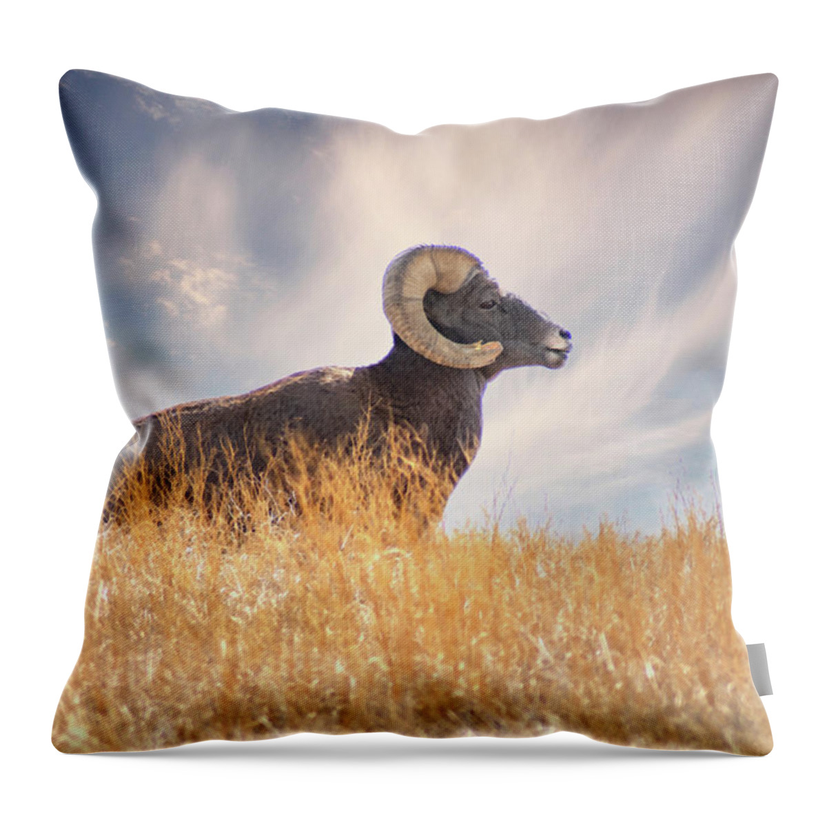 Bighorn Sheep Throw Pillow featuring the photograph Nature's Ram by Jerry Cahill