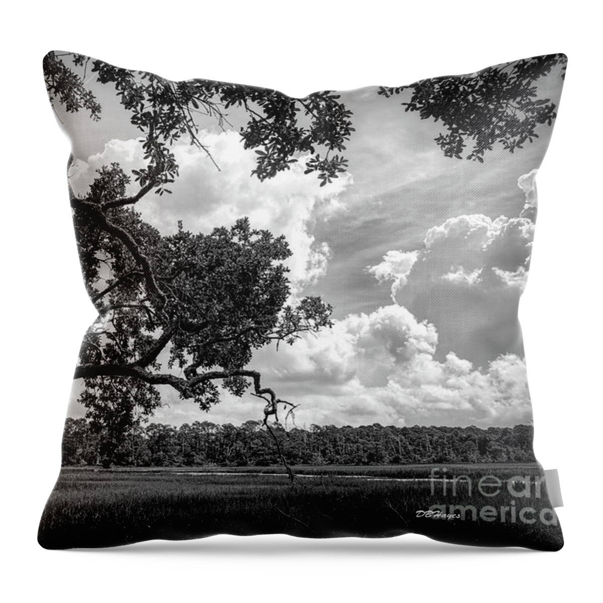 Nature Throw Pillow featuring the photograph Natures Serenity In Black and White by DB Hayes