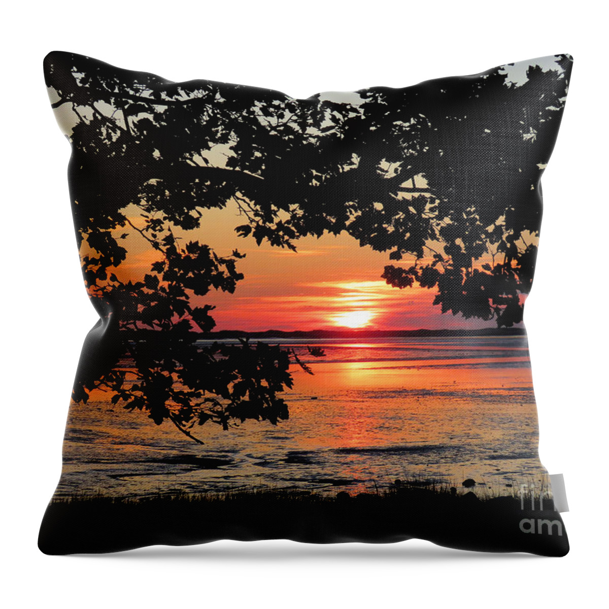 Sunrise Throw Pillow featuring the photograph Nelson Park August sunrise by Janice Drew