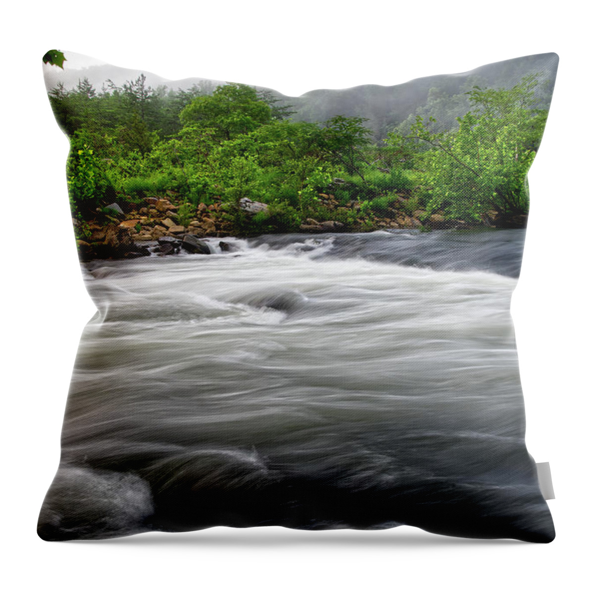 Nemo Rapids Throw Pillow featuring the photograph Nemo Rapids 11 by Phil Perkins