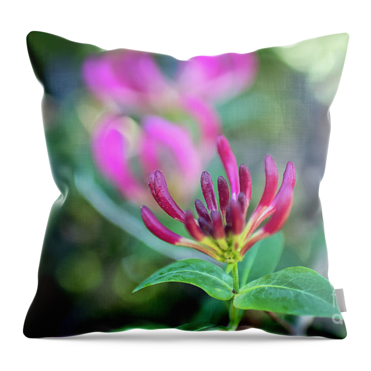 Honeysickle Throw Pillow featuring the photograph New Beginnings by Amy Dundon