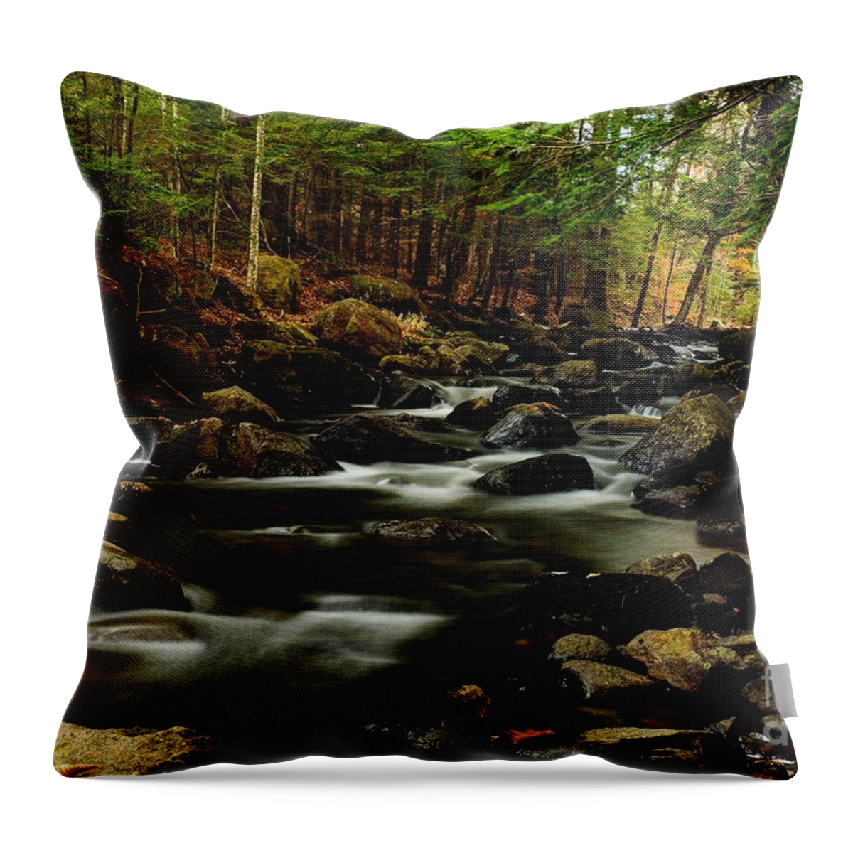 New Hampshire Throw Pillow featuring the photograph New Hampshire Brook by Steve Brown
