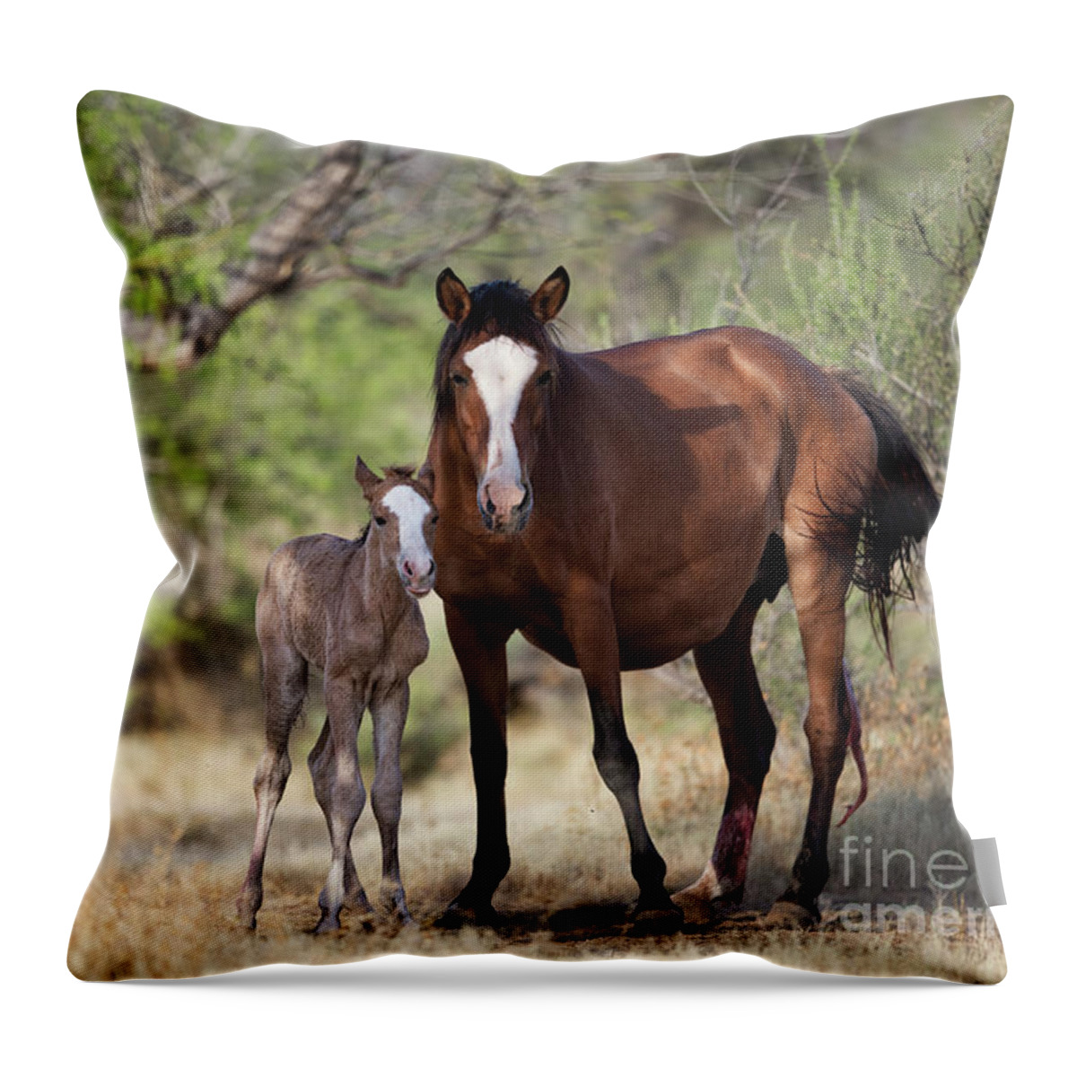 Cute Foal Throw Pillow featuring the photograph Newborn by Shannon Hastings