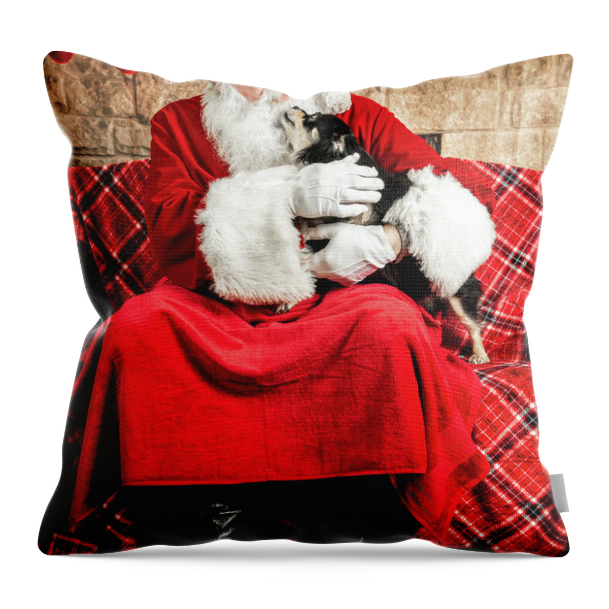 Newt Throw Pillow featuring the photograph Newt with Santa 1 by Christopher Holmes
