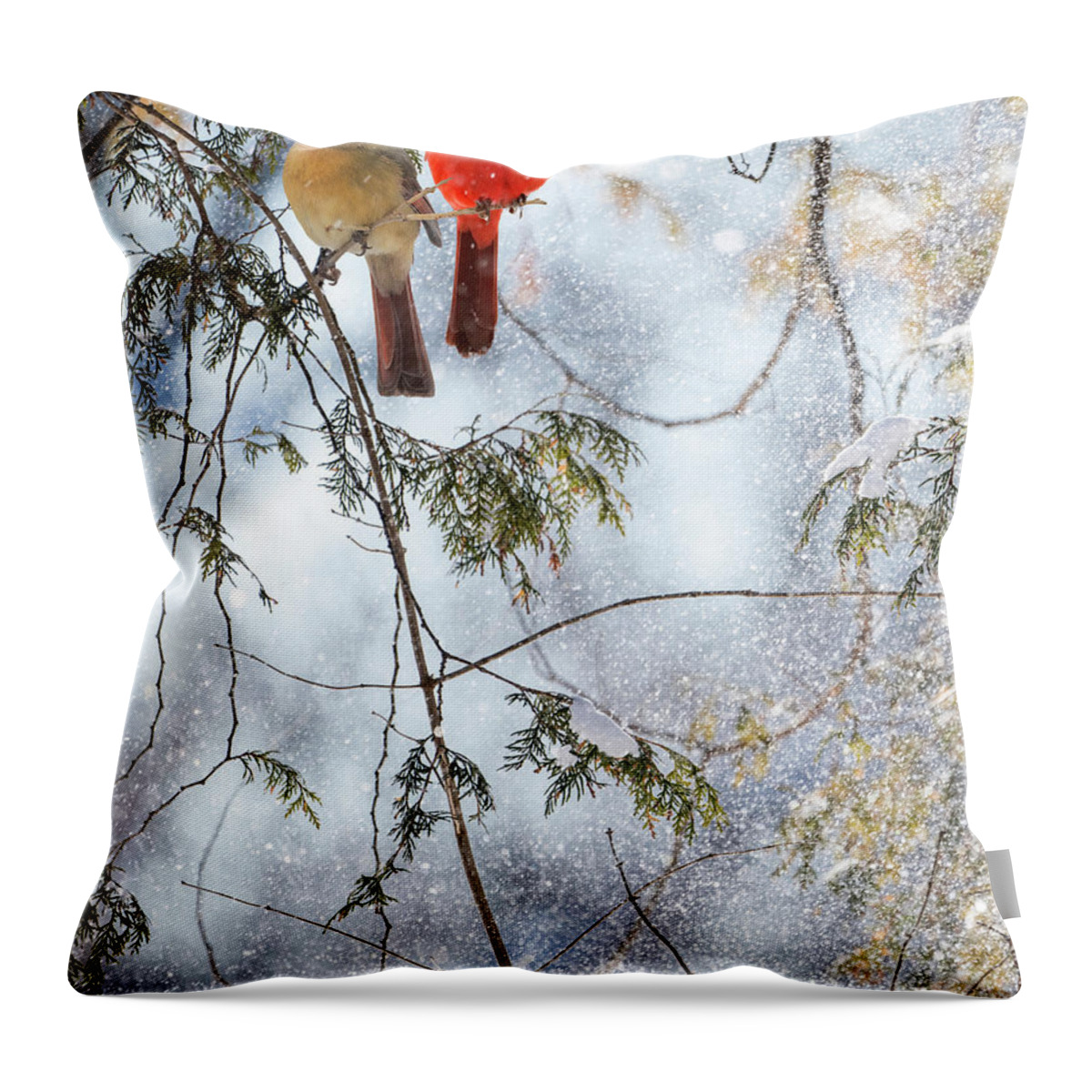 Northern Cardinals Throw Pillow featuring the photograph Northern Cardinal Love Story by Sandra Rust