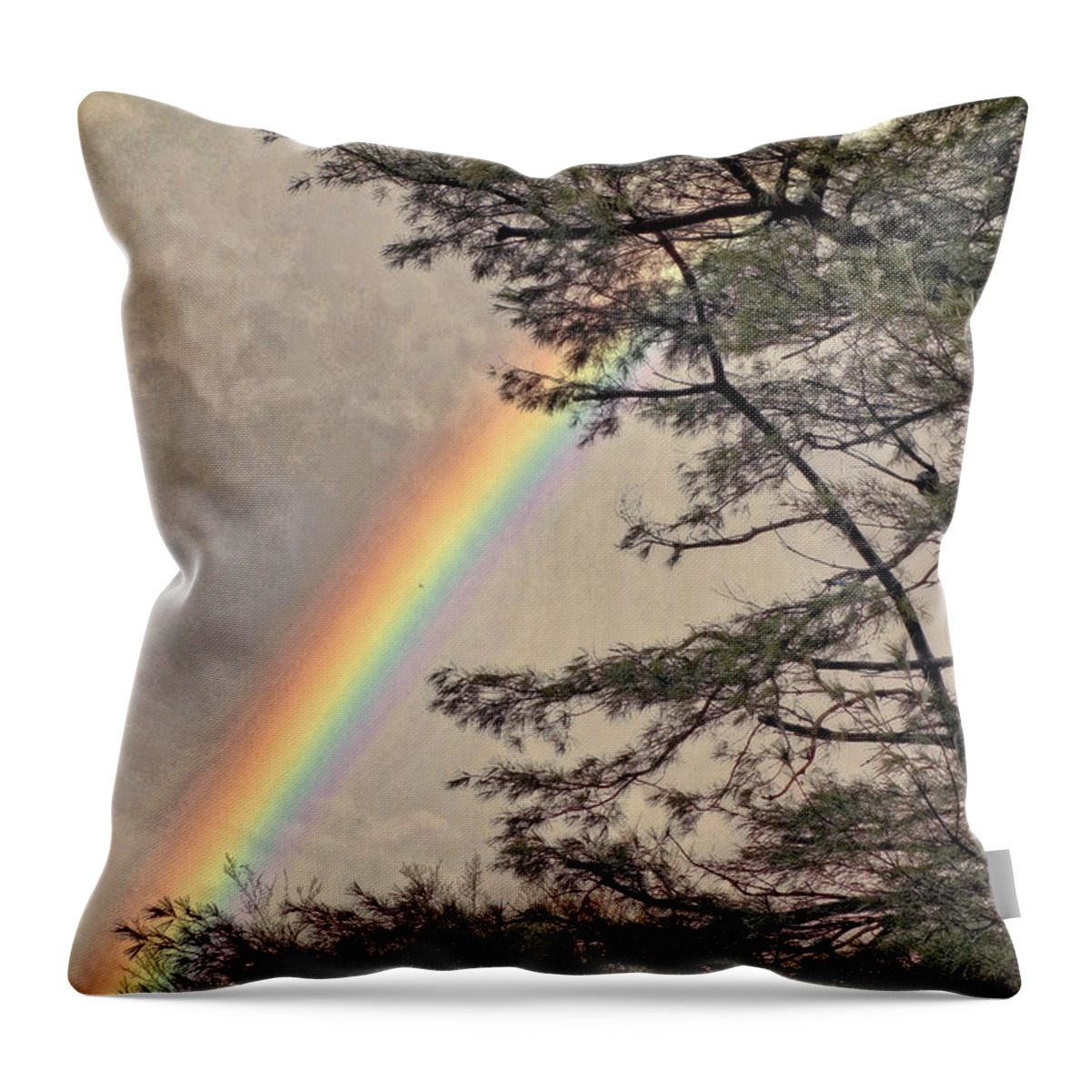 Rainbow Throw Pillow featuring the photograph Northern Forest Rainbow by Russ Considine