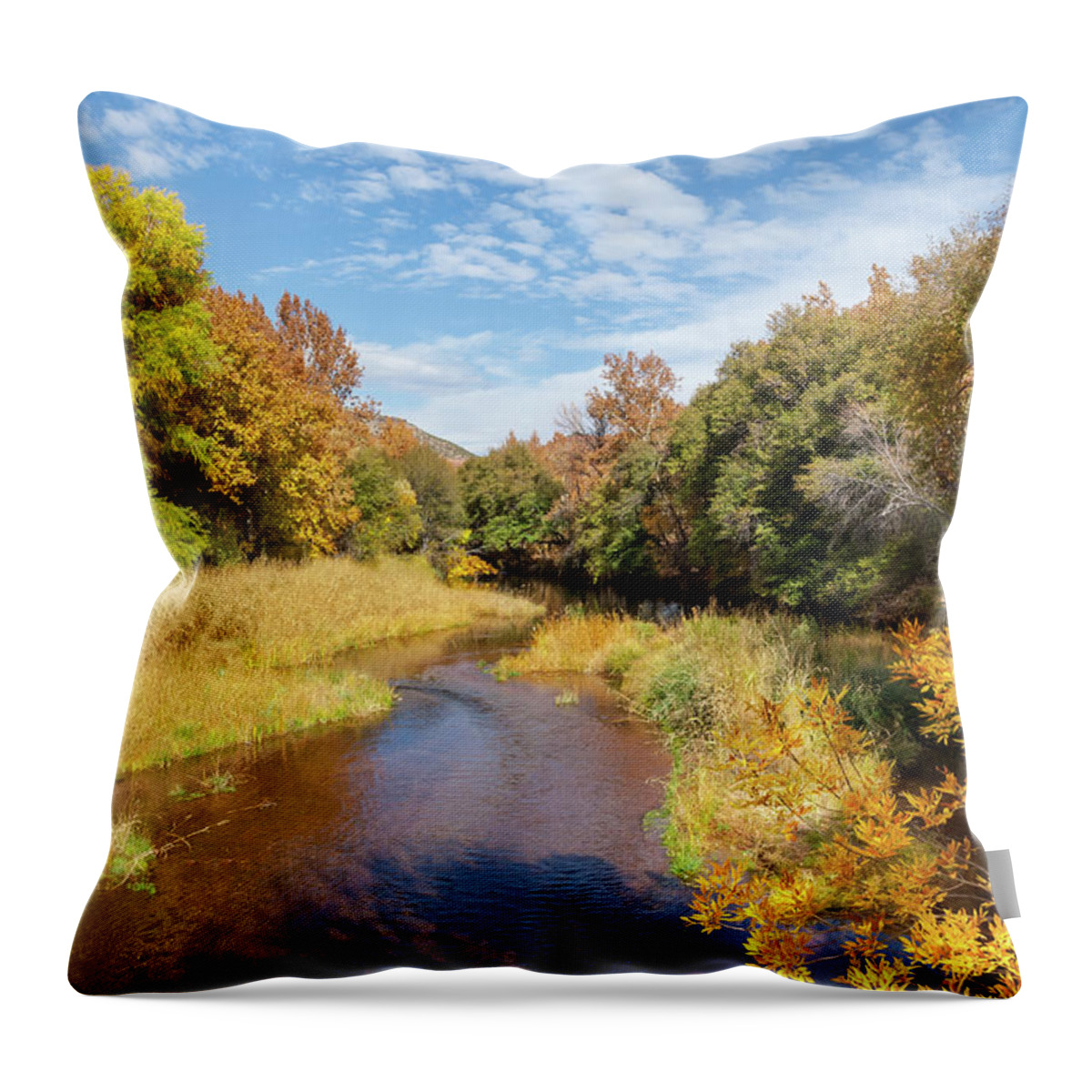 Arizona Throw Pillow featuring the photograph Oak Creek in the Fall by Jeff Goulden