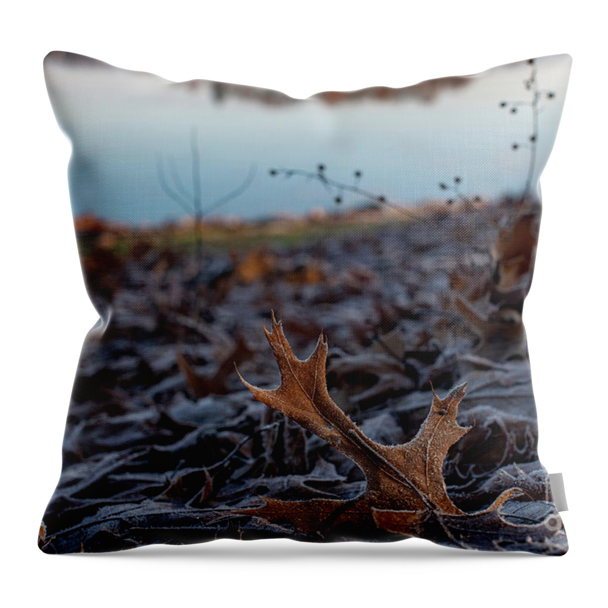 Oak Leaf Throw Pillow featuring the photograph Oak Leaf on the First Frost by Sandra Rust