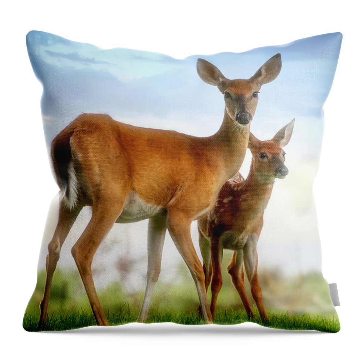 Deer Throw Pillow featuring the photograph Oh, Deer, Let's Pose... by Shelia Hunt