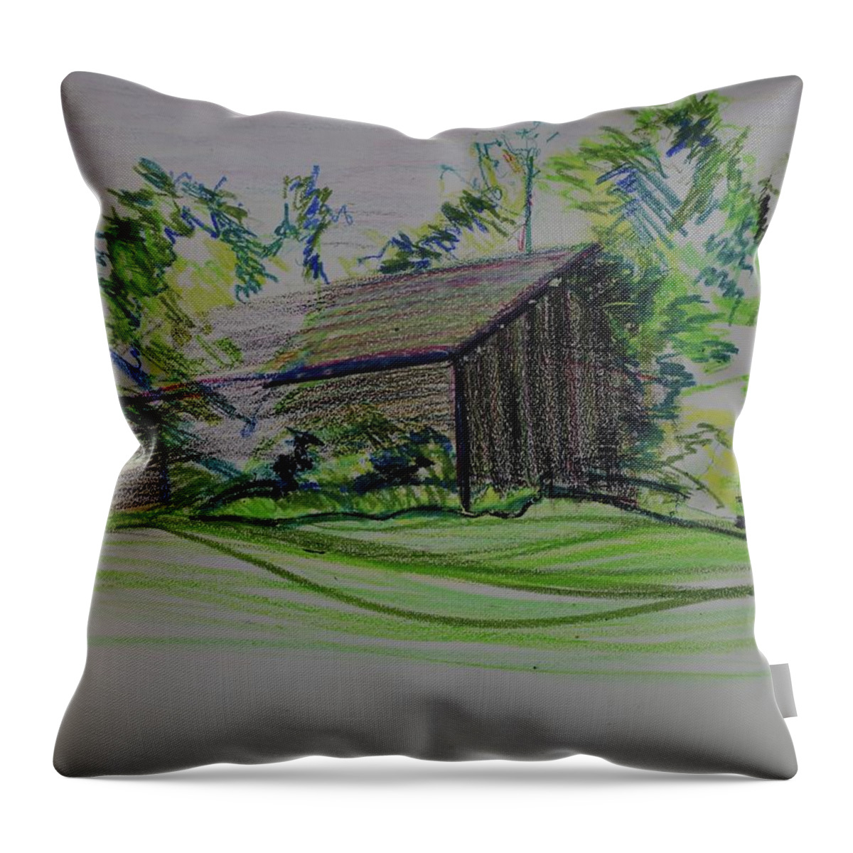 Plein Air Throw Pillow featuring the pastel Old Barn At Wason Pond by Sean Connolly