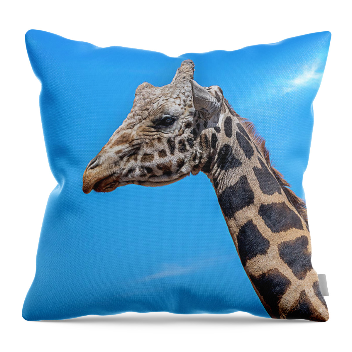  Throw Pillow featuring the photograph Old Giraffe by Al Judge