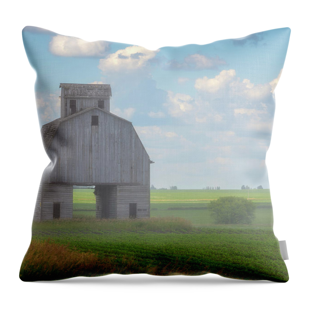 Iowa Throw Pillow featuring the photograph Old time Drive Through by Darren White