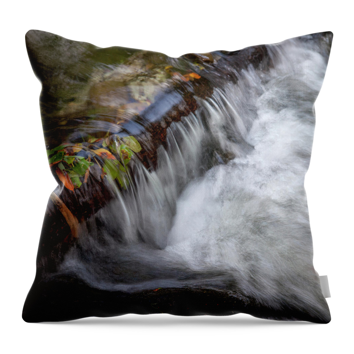 Olema Creek Throw Pillow featuring the photograph Olema Creek, West Marin by Donald Kinney