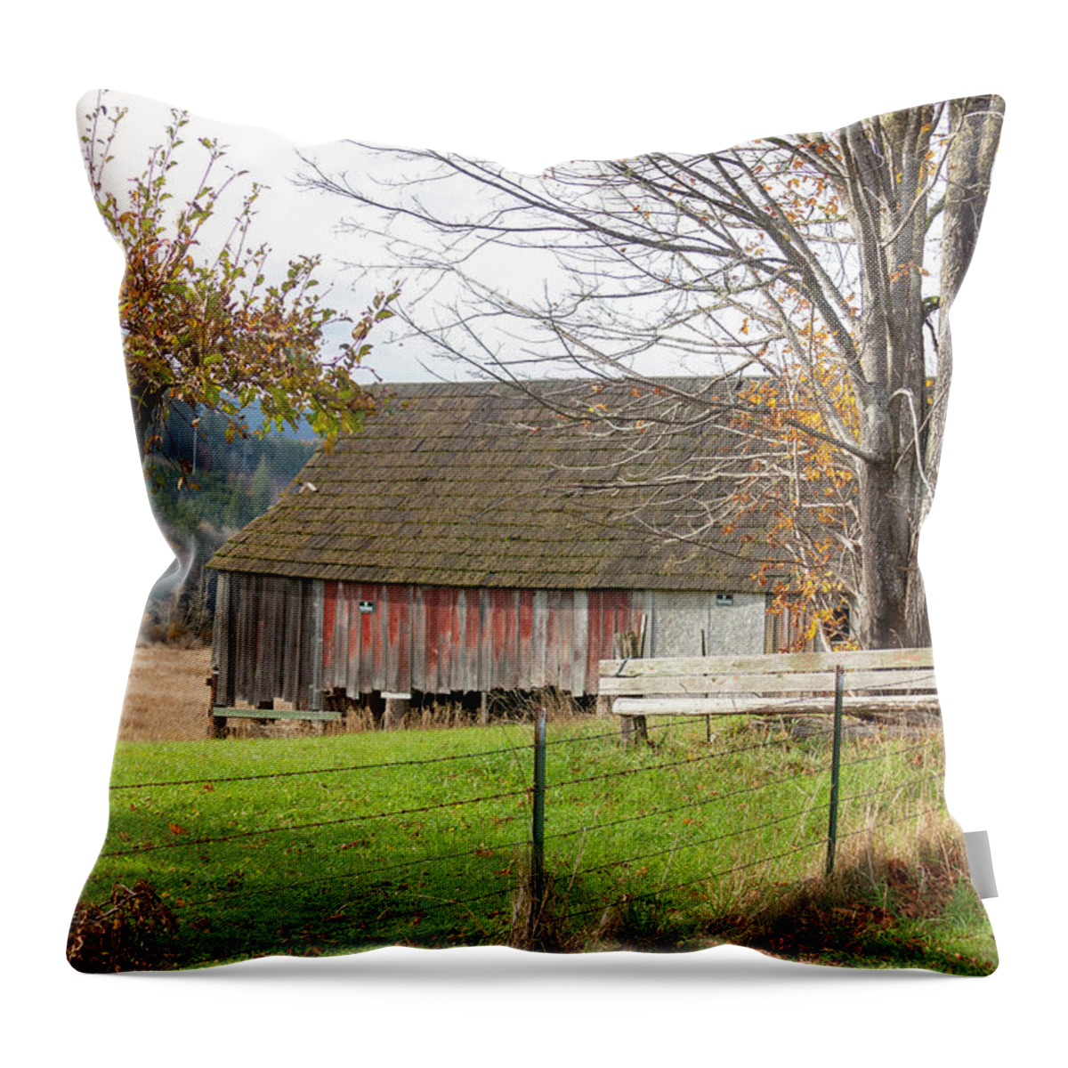 Olympic Peninsula Throw Pillow featuring the photograph Olympic Peninsula Barn by Cathy Anderson