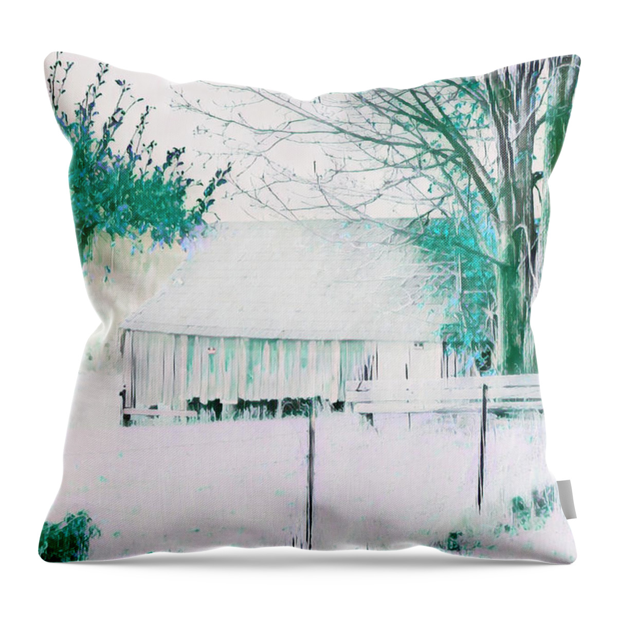 Barn Throw Pillow featuring the photograph Olympic Peninsula Barn color by Cathy Anderson