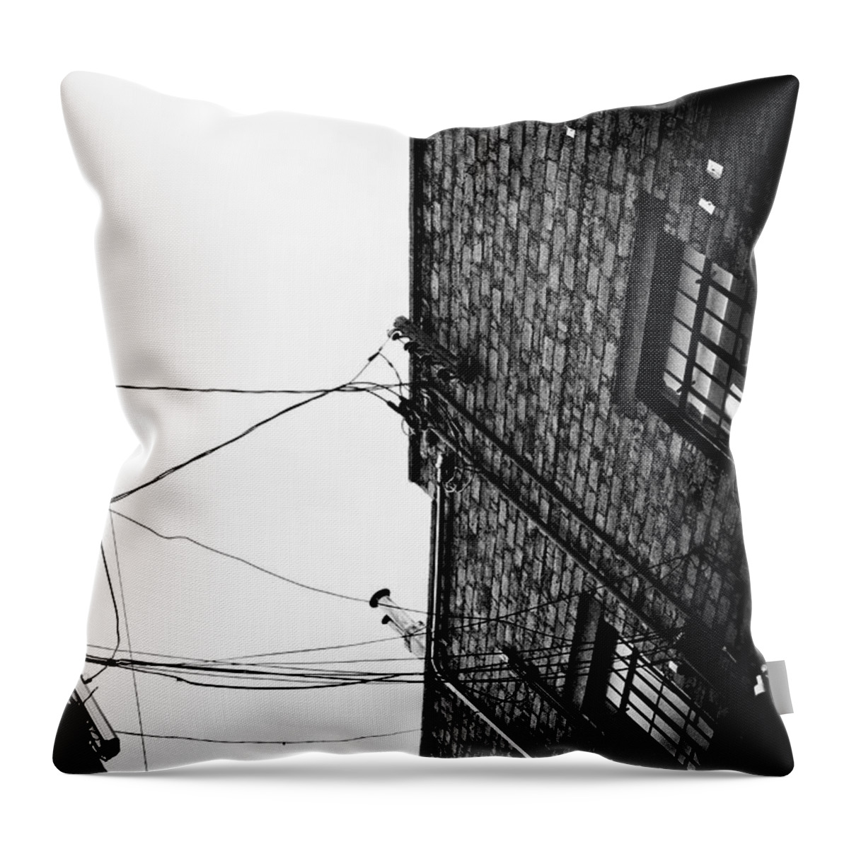 Black And White Throw Pillow featuring the photograph On A Wire by Carmen Kern
