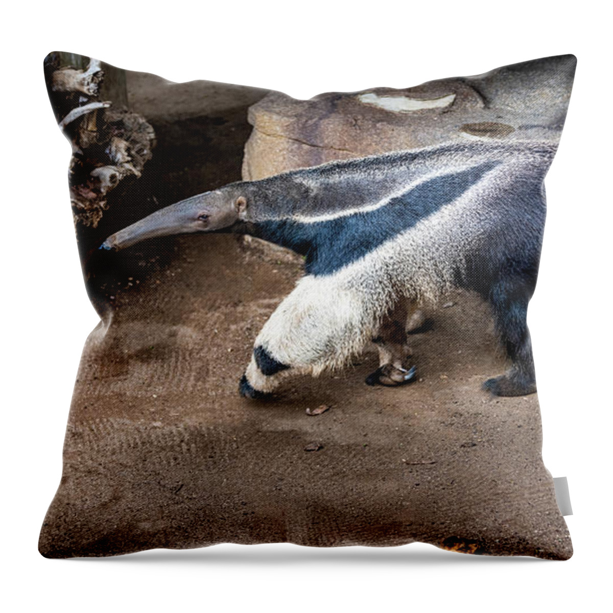 Brown Throw Pillow featuring the photograph On the Hunt by David Levin