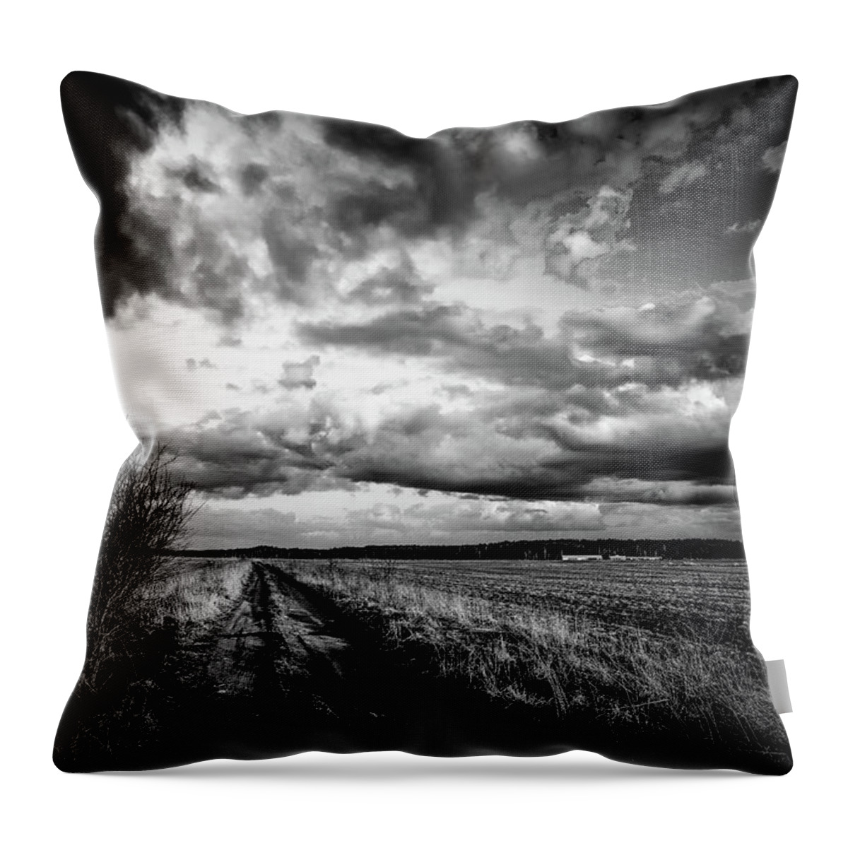 Road Throw Pillow featuring the photograph On The Road Again LRBW by Michael Damiani
