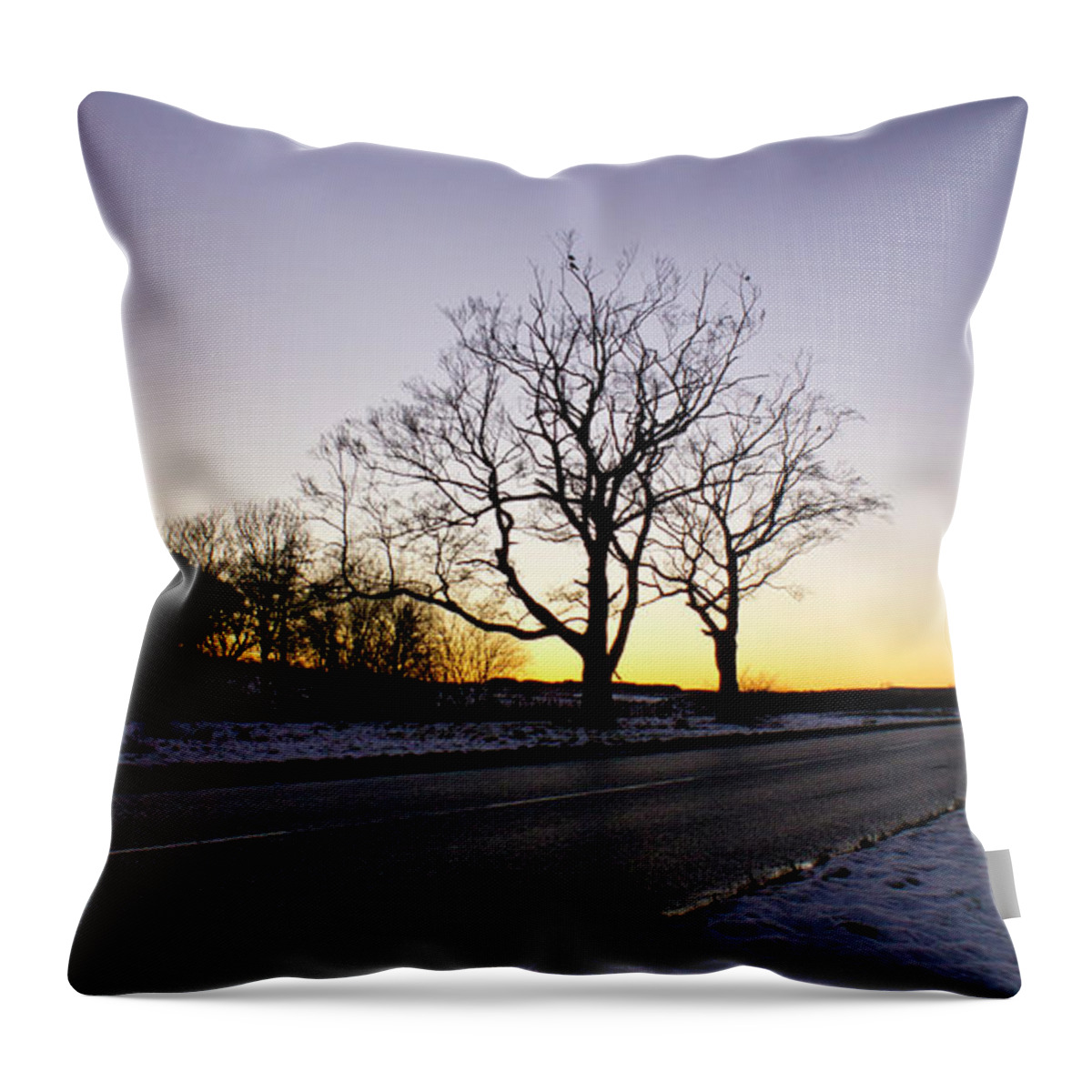 Winter Throw Pillow featuring the photograph On the Road to Home by Elena Perelman