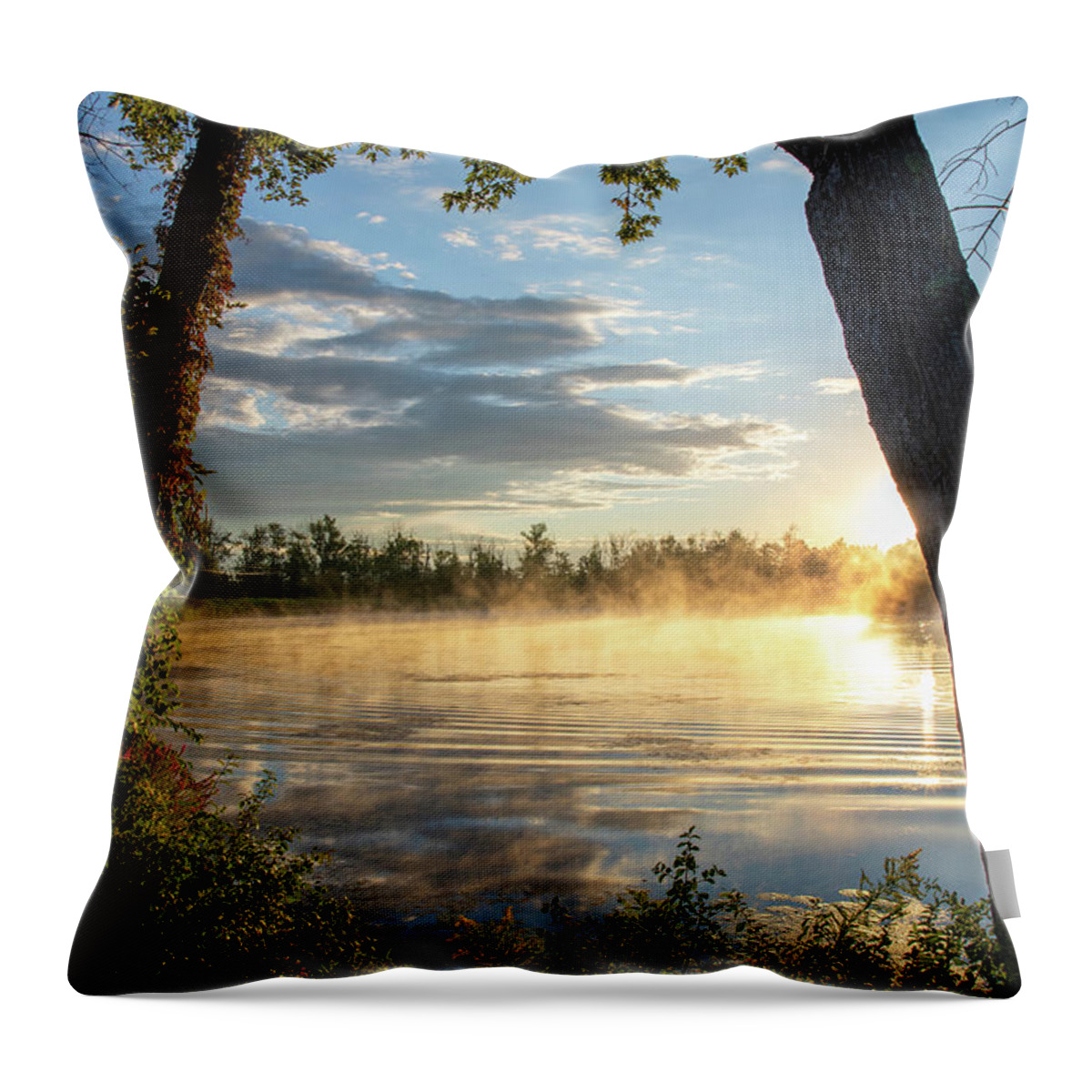 Sunrise Throw Pillow featuring the photograph Oneida River Sunrise by Rod Best