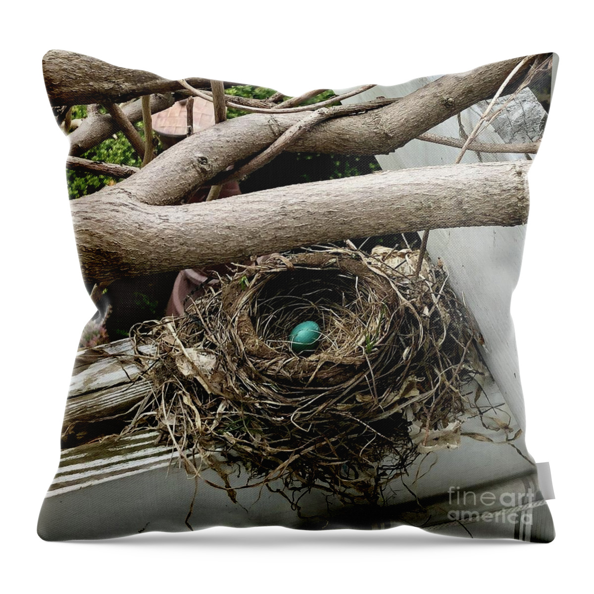 Robin’s Egg Throw Pillow featuring the photograph Only Child by Kate Conaboy