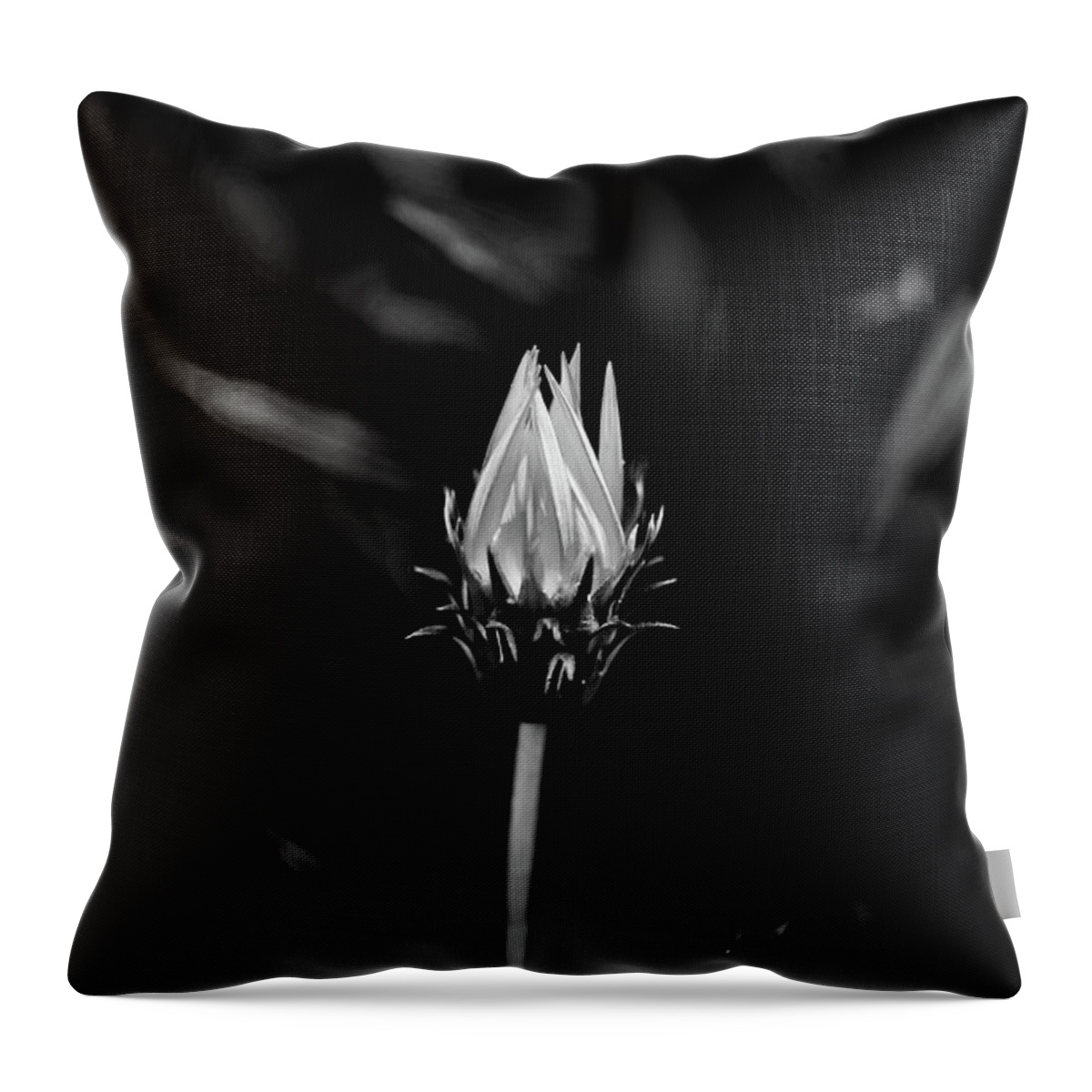 Beautiful Black And White Flower Throw Pillow featuring the photograph Only You by Az Jackson