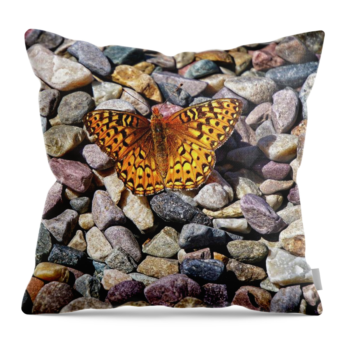 Butterflies Throw Pillow featuring the photograph Orange And Black Butterfly by David Desautel