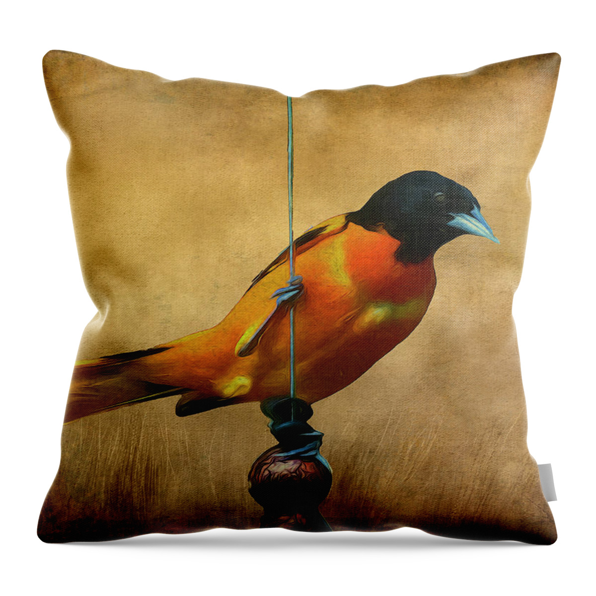 Songbird Throw Pillow featuring the photograph Orange Bird by Cathy Kovarik