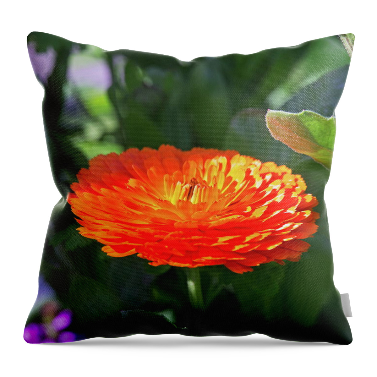 Beautiful Throw Pillow featuring the photograph Orange Blossom by David Desautel