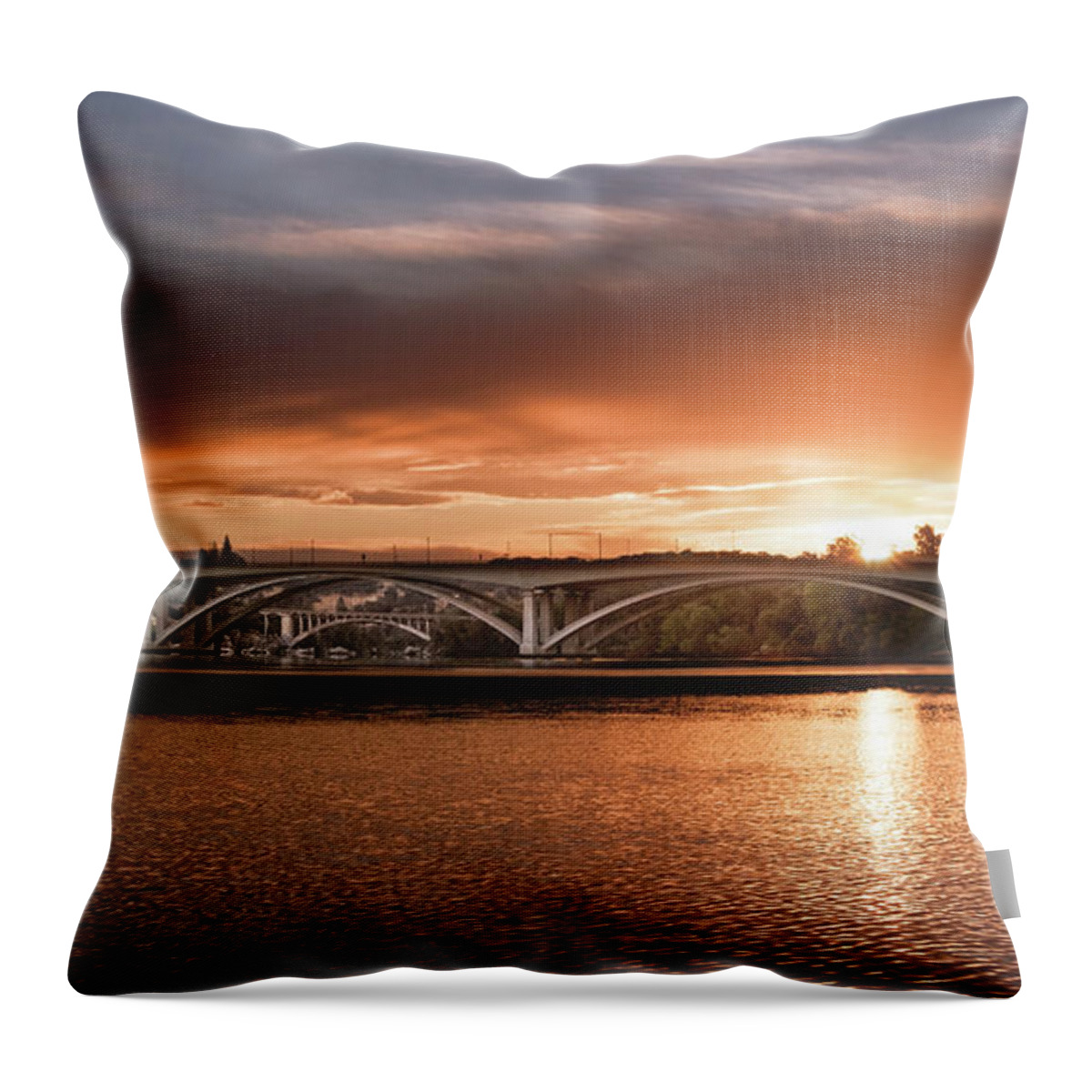 Sunrise Throw Pillow featuring the photograph Orange Delight by Gary Geddes