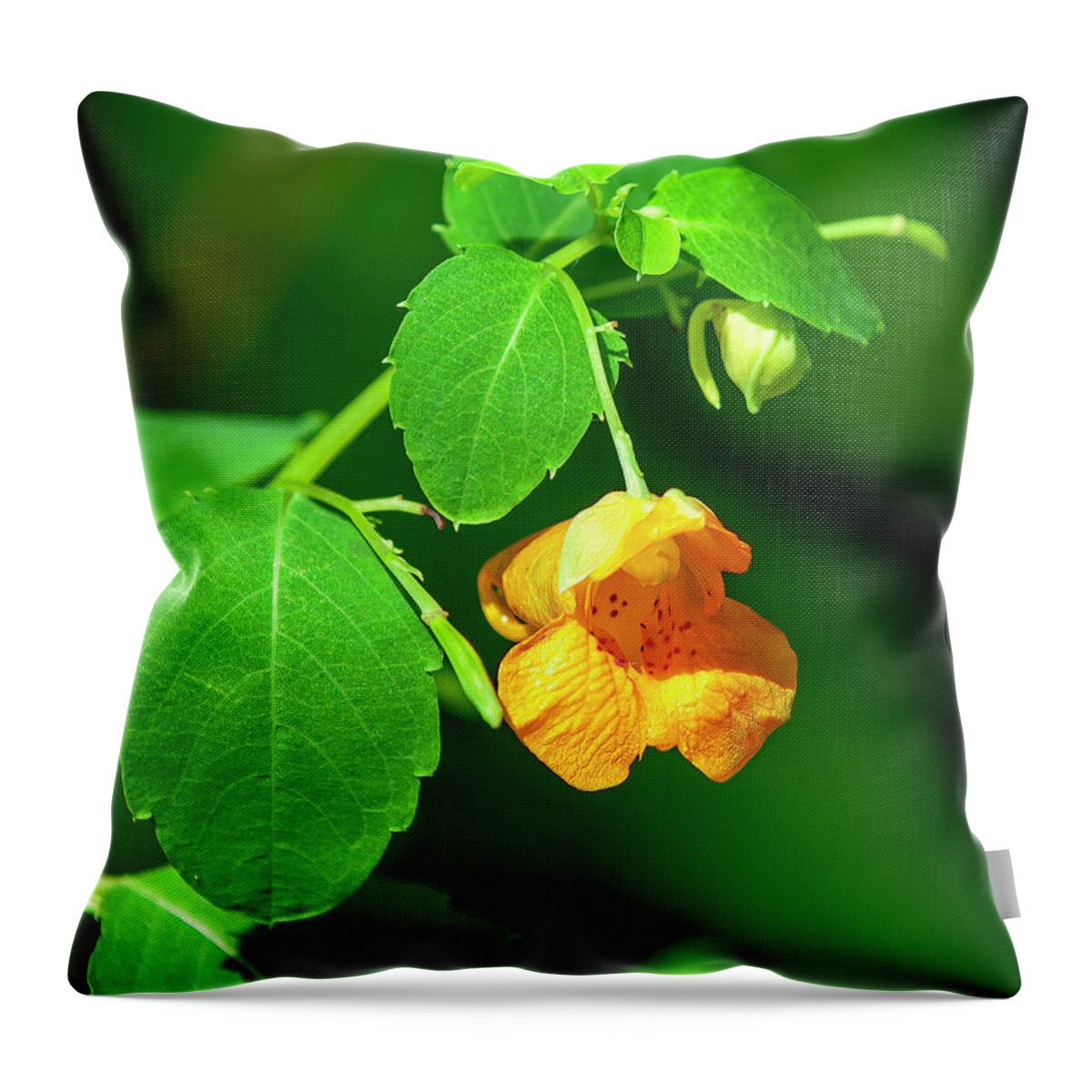 Balsam Family Throw Pillow featuring the photograph Orange Jewelweed DFL1221 by Gerry Gantt