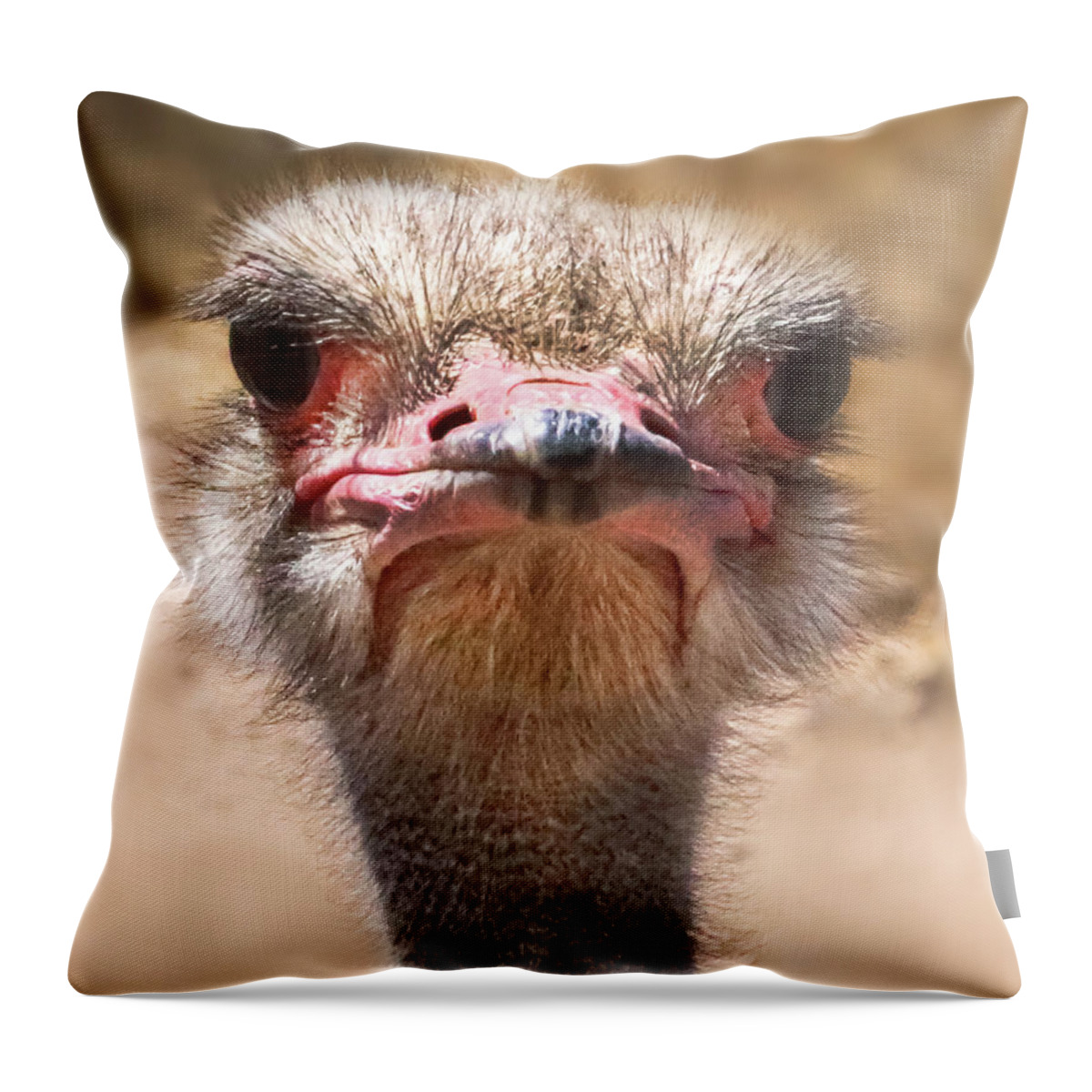 Ostrich Throw Pillow featuring the photograph Ostrich Staredown by Laura Putman