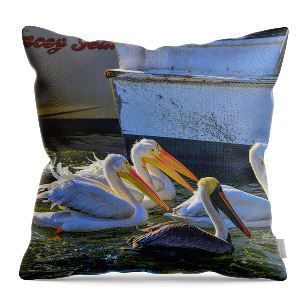 White Pelicans Throw Pillow featuring the photograph Out Shopping by Alison Belsan Horton