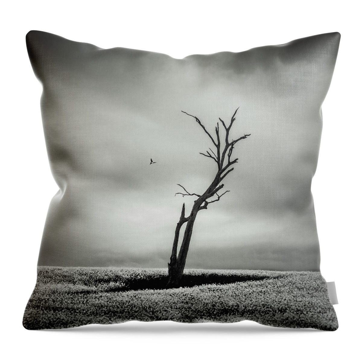 Monochrome Throw Pillow featuring the photograph Out West by Grant Galbraith
