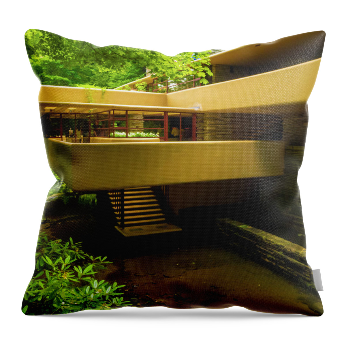 2-events/trips Throw Pillow featuring the photograph Outside Falling Waters by Louis Dallara