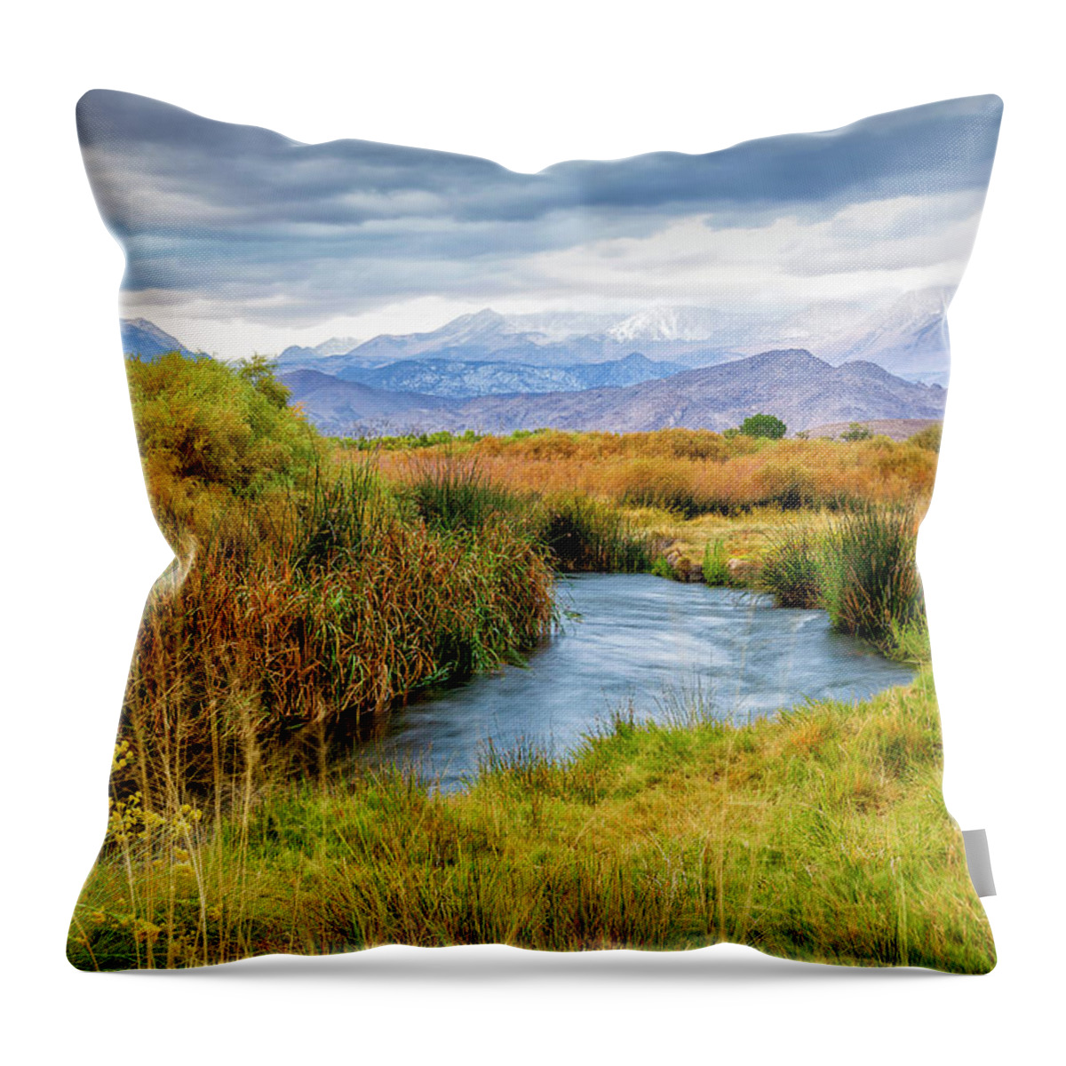 Owens-river Throw Pillow featuring the photograph Owens River by Gary Johnson
