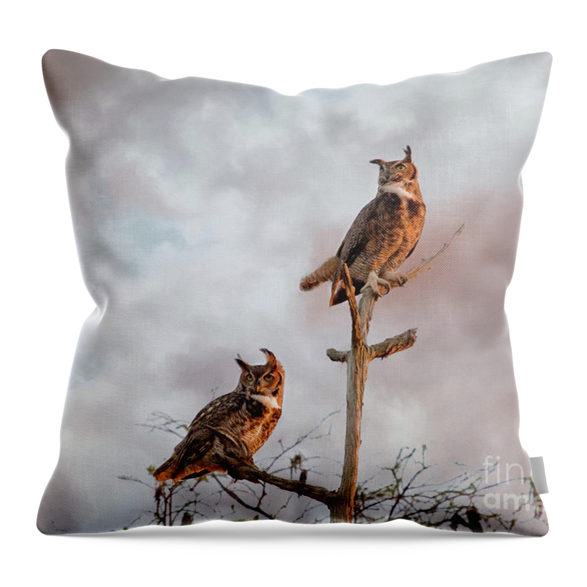 Great Horned Owl Throw Pillow featuring the digital art Owls at Dusk - Stormy Sky by Jayne Carney