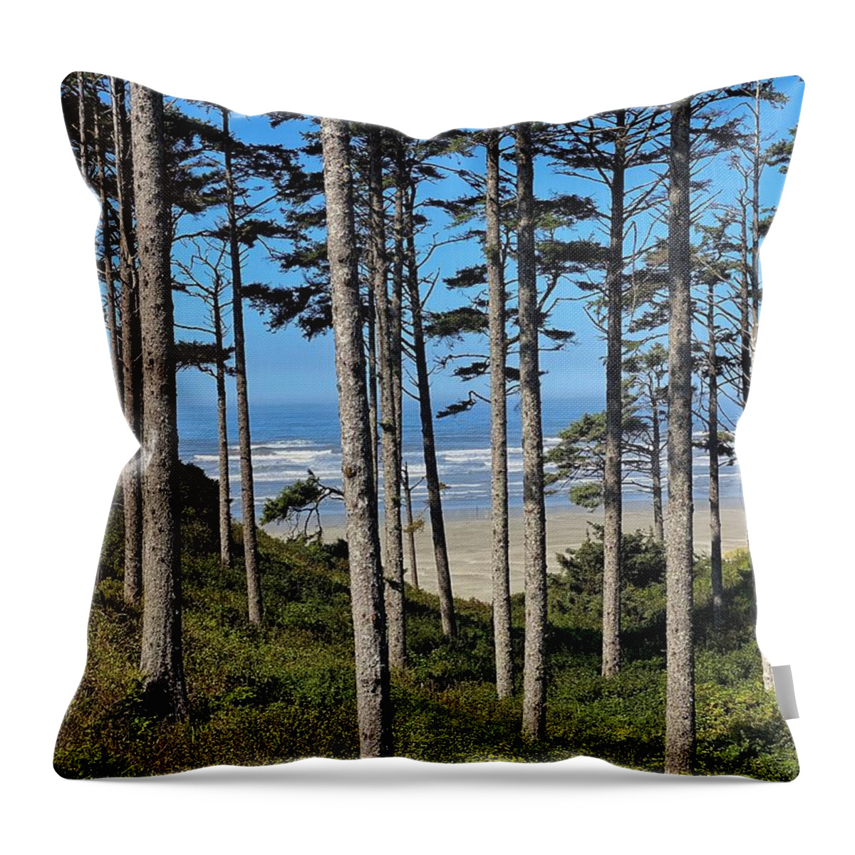 Beach Throw Pillow featuring the photograph Pacific Ocean at Seabrook 2 by Jerry Abbott