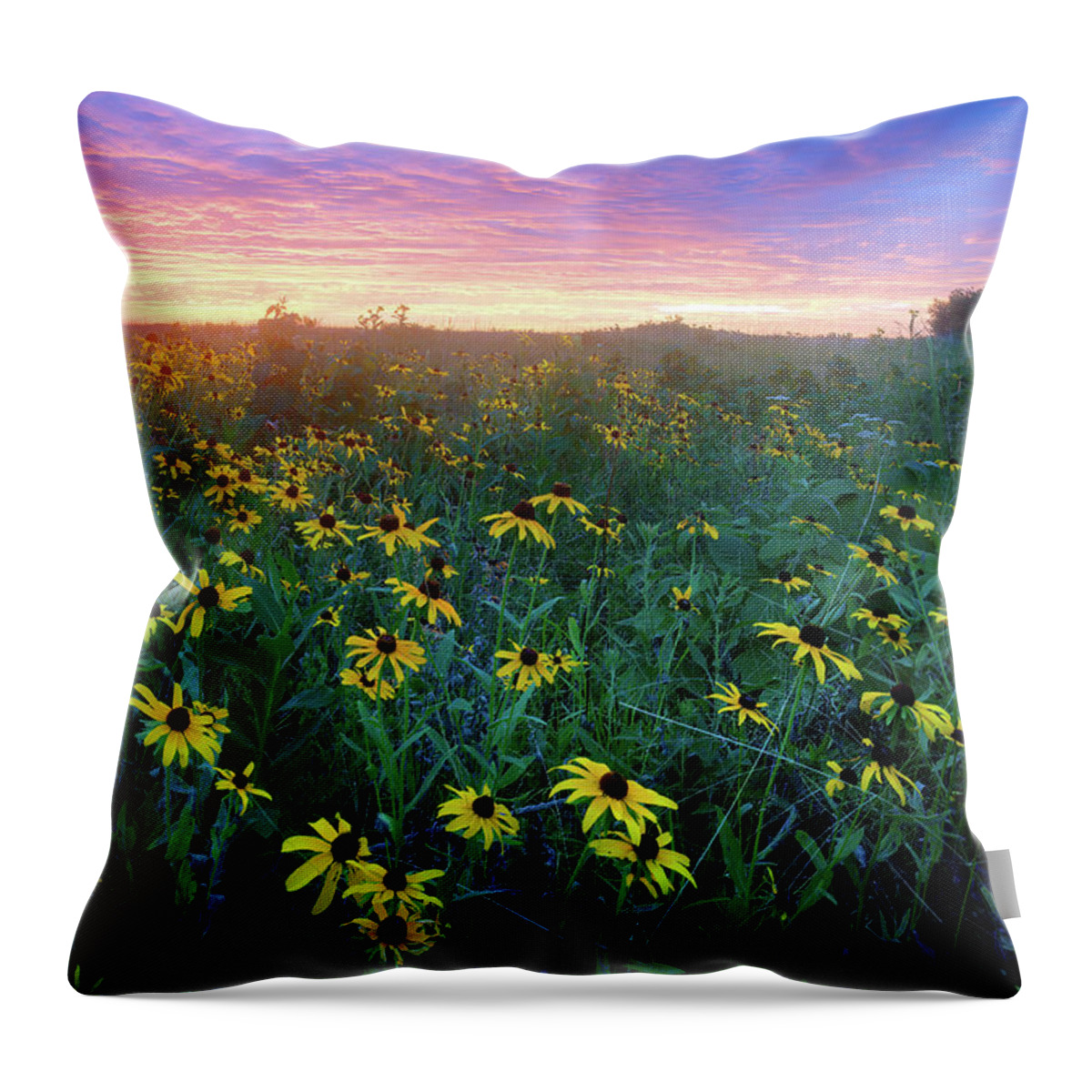 Conservation Area Throw Pillow featuring the photograph Paintbrush Prairie IV by Robert Charity