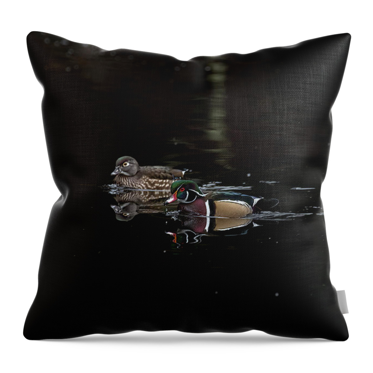 Wood Duck Throw Pillow featuring the photograph Pair of Wood Ducks by Jerry Cahill
