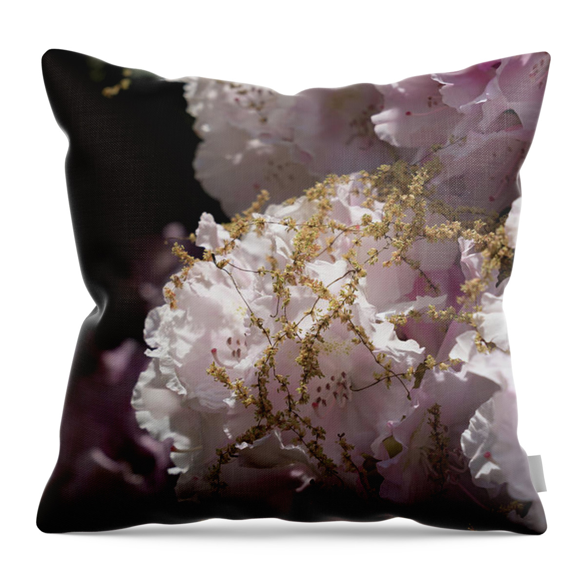 Rhododendron Throw Pillow featuring the photograph Pale pink rhododendron flowers 2 by Adriana Mueller