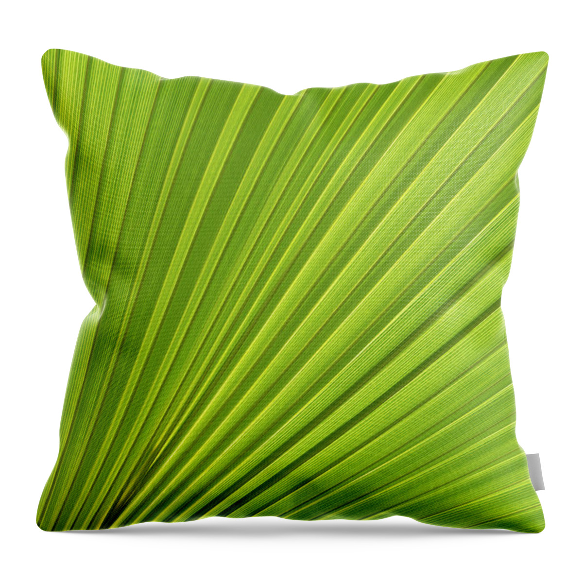 Palm Leaf Throw Pillow featuring the photograph Palm leaf and Mediterranean sunlight 1 by Adriana Mueller